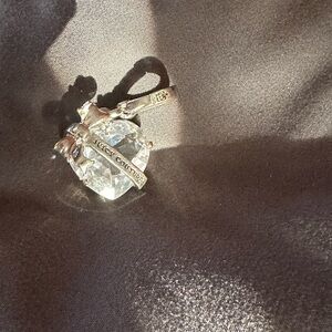 Juicy couture jewelry adornment